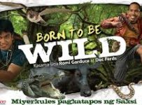 Born To Be Wild January 26 2025